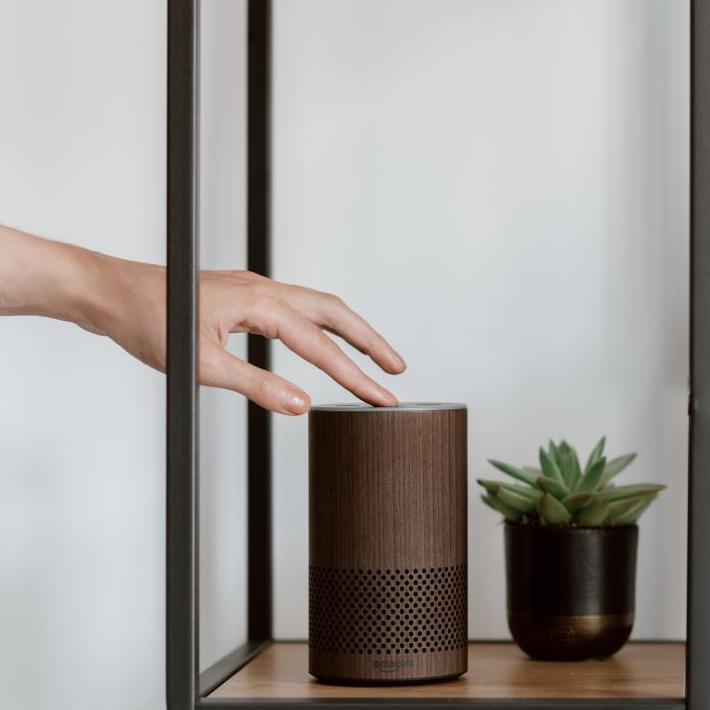 Hand touches Alexa device on table next to small potted plant.