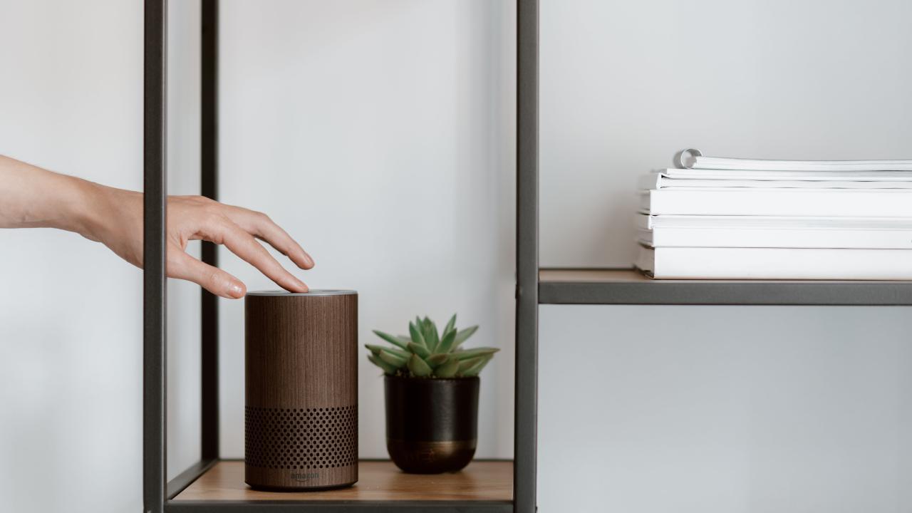 Hand touches Alexa device on table next to small potted plant.