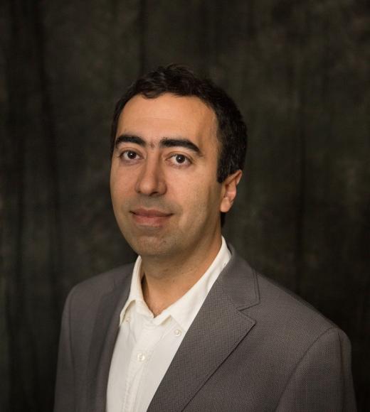 Soheil Ghiasi